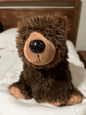 Uploaded stuffed animal photo